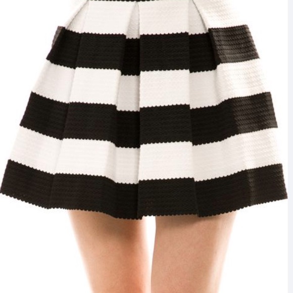None Dresses & Skirts - Black and White Skater Mini Skirt with Pleats
